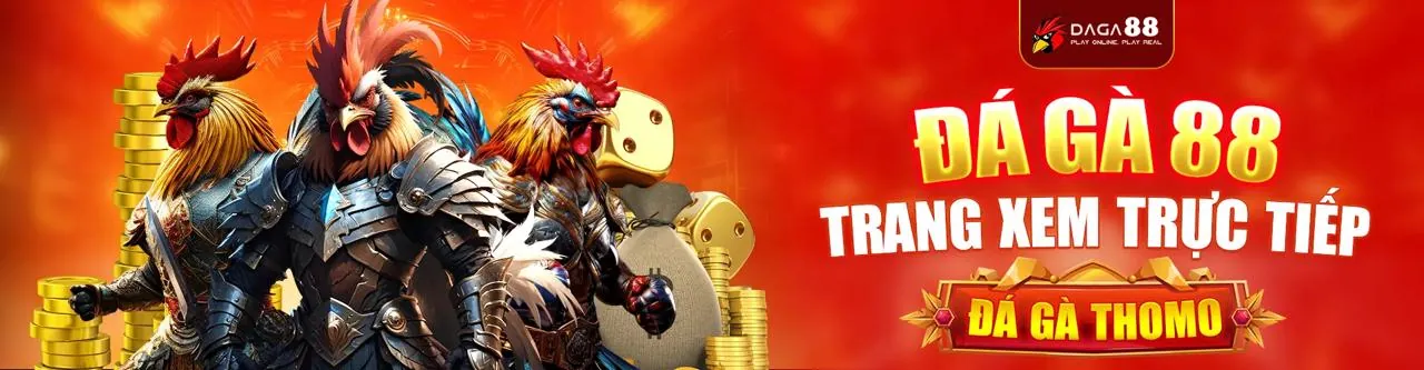 Hình ảnh đá gà trực tuyến kịch tính tại 8kbe info